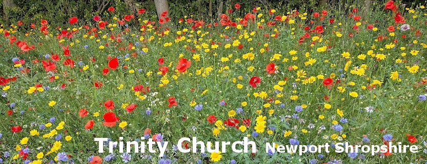 Trinity Church, Newport, Shropshire